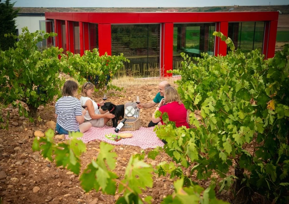 Regala una experiencia de enoturismo en Elías Mora